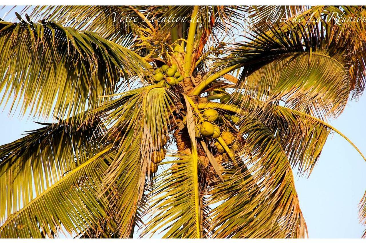 La Kaz A L'Etang - Votre Location De Vacances A L'Ile De La Reunion Saint-Louis Exterior photo